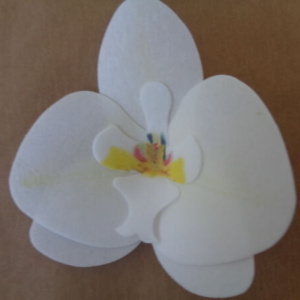 вафлена орхидея