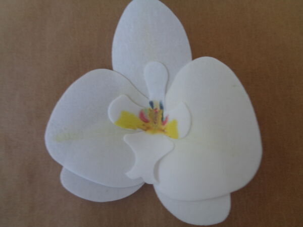 вафлена орхидея