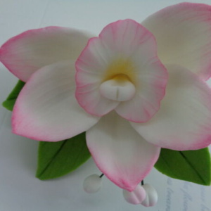 захарна орхидея